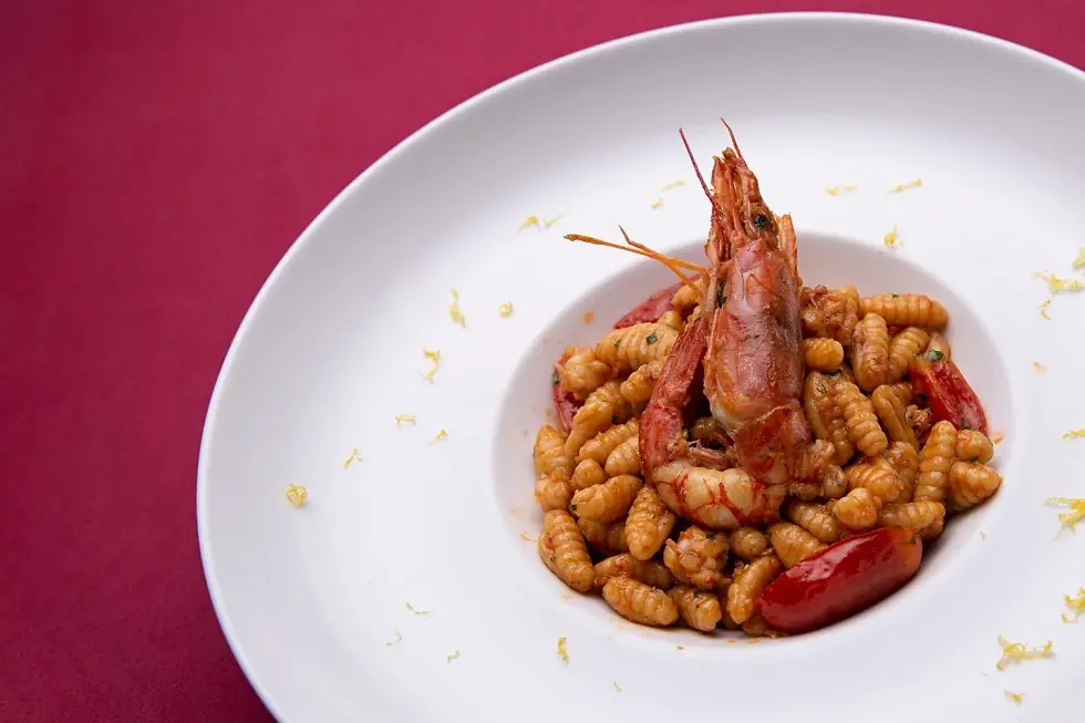 Whole grilled red prawn on top of a bowl of gnocchi with tomato in a red-tinted sauce, on a white plate, L'Osteria del Contadino