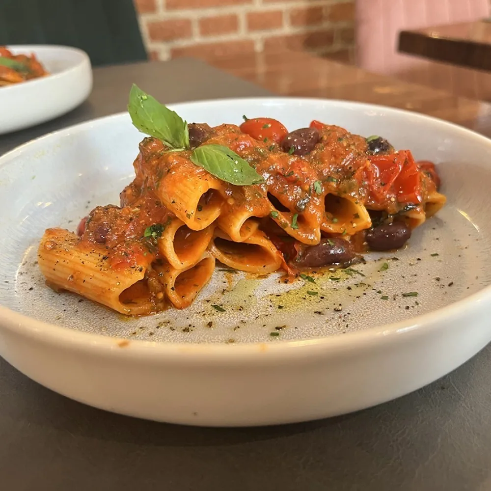 Rigatoni in a chunky tomato sauce with olives and basil on a white plate