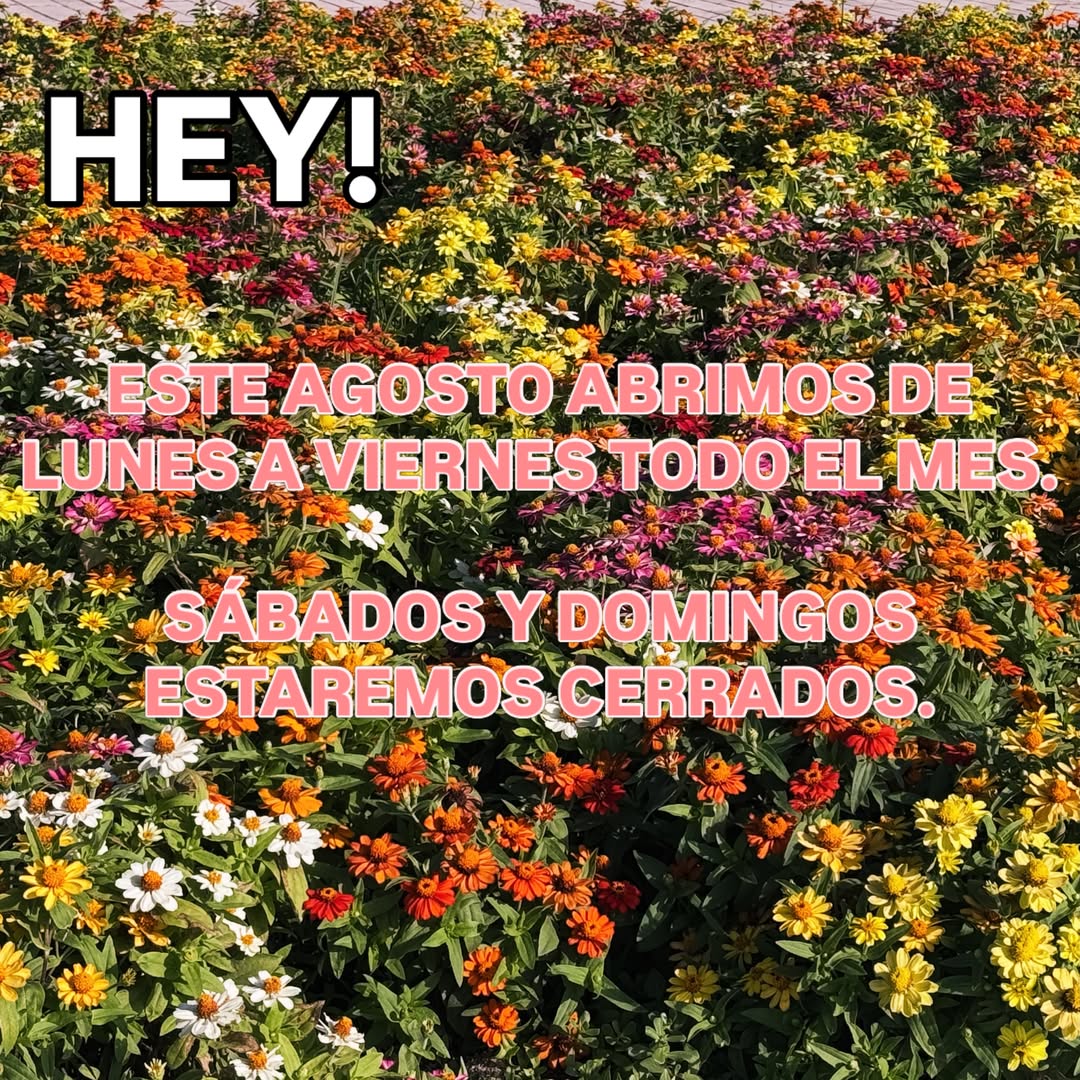 Gente de bien, ¡noticiero!
Horario de Agosto:
De Lunes a Viernes de 13:00 a 16:30 y de 20:00 a 23:30.
Sábados y Doming