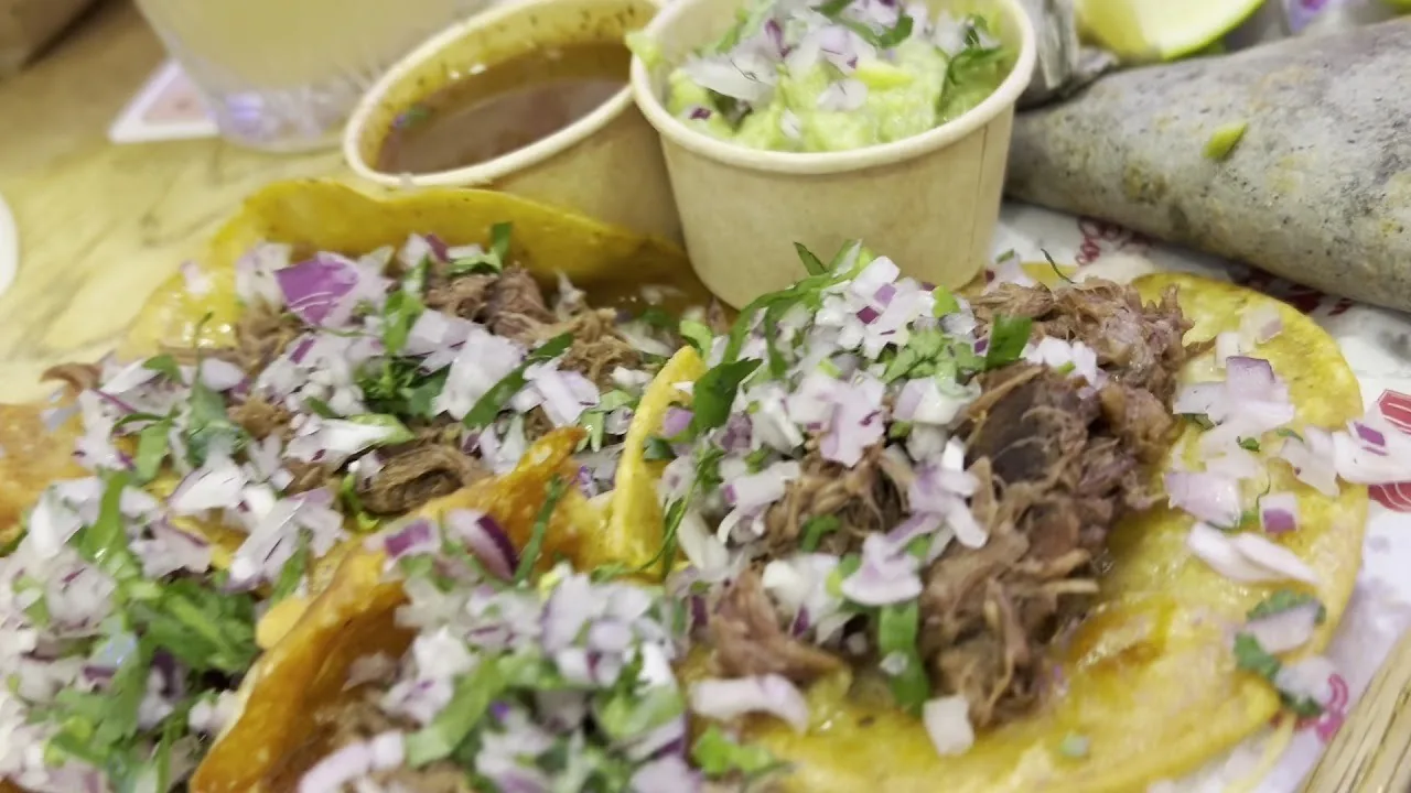 A close-up of tacos filled with shredded beef, chopped onion and herbs
