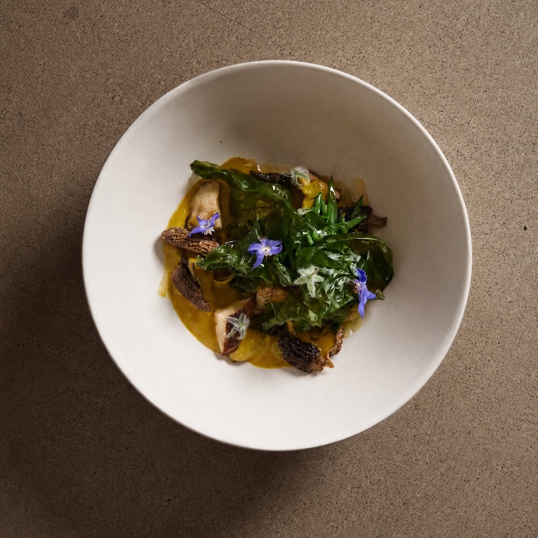 cau cau de setas, tagliatelle de papas, judía plana, lechuga de mar