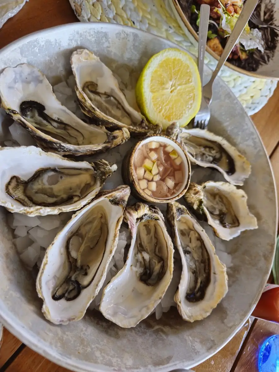 Oysters at Mar y Mar
