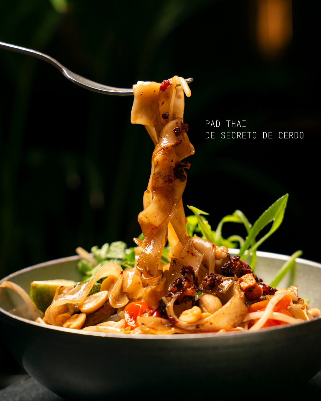 Pad thai con secreto, cacahuetes y fideos de arroz salteados en nuestra salsa especial de tamarindo, todo ello preparado