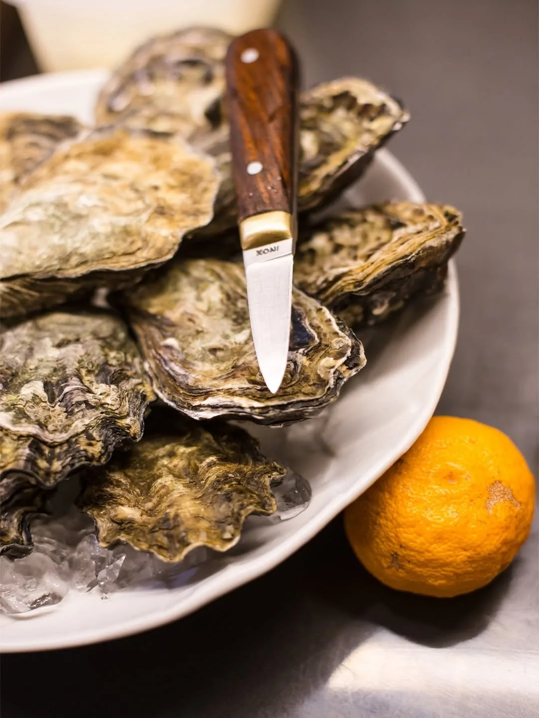 Oysters on a white plate with a knife and half of a citrus fruit
