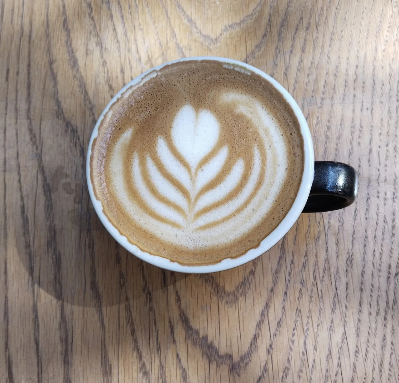 A cappuccino with detailed leaf-pattern latte art