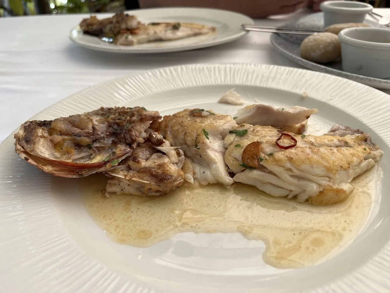 A grilled fish with sauce on a white plate