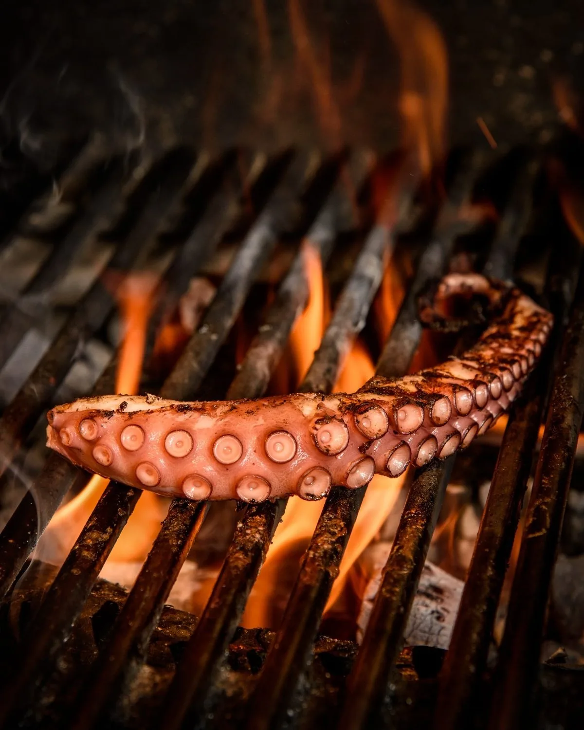 An octopus tentacle grilling over open flames