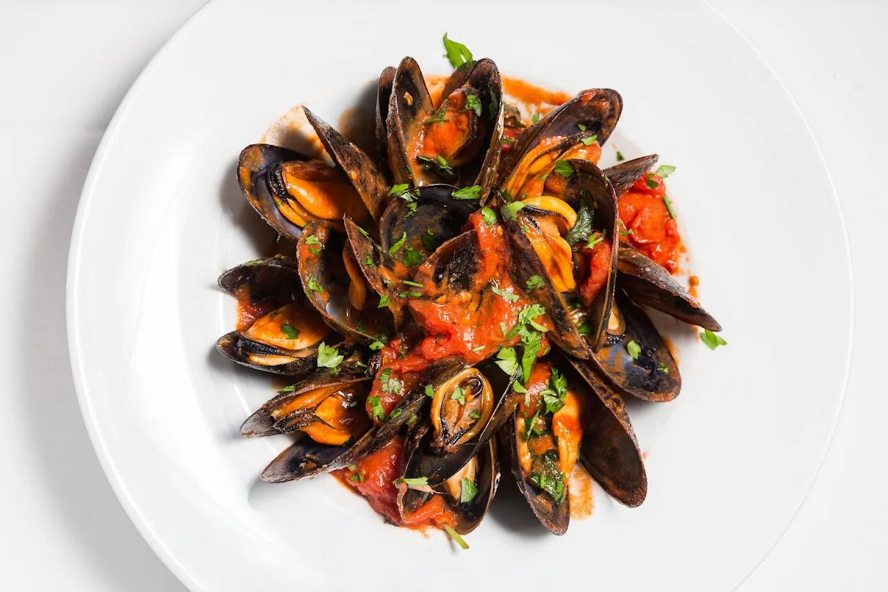 A plate of mussels in a red tomato sauce garnished with herbs