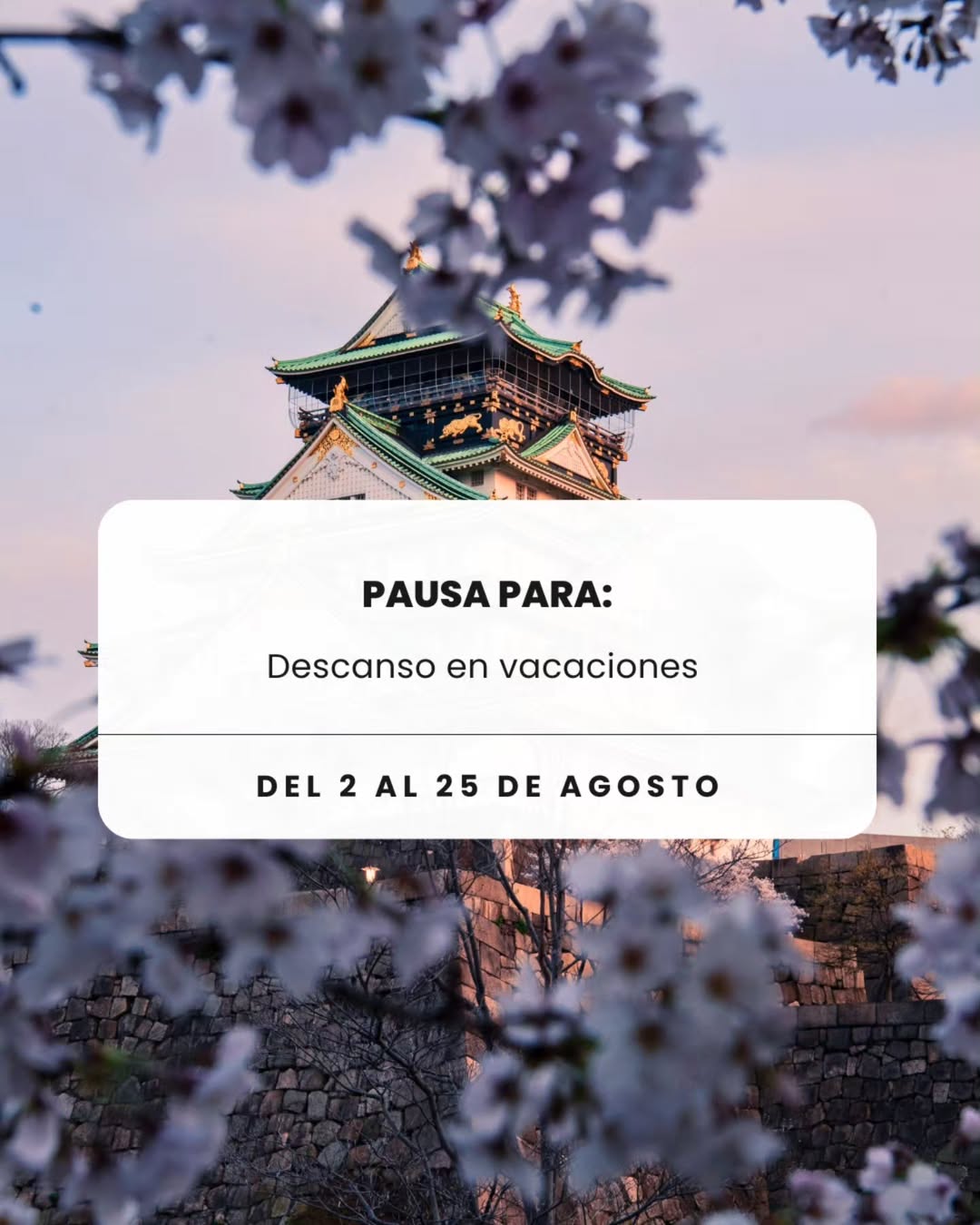 ¡Nos vamos de vacaciones! 🏖
El restaurante permanecerá cerrado del 2 de agosto al 25 de agosto (ambos inclusive).
¡Os