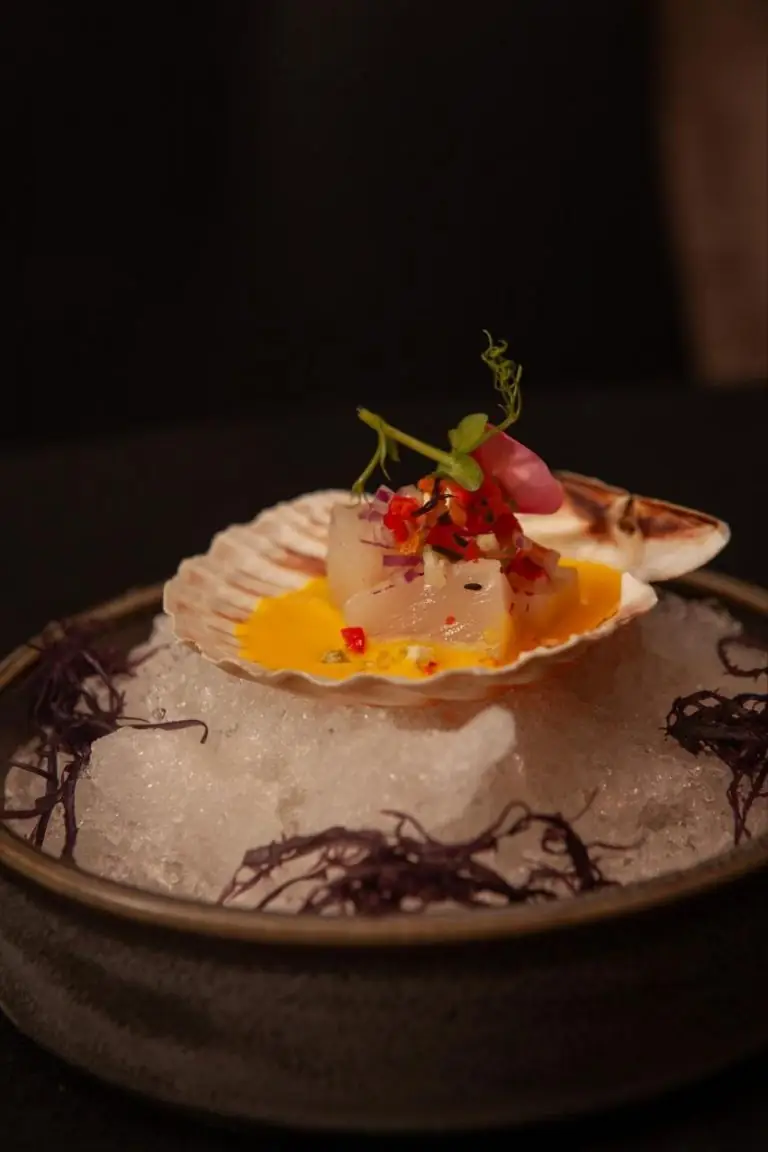Scallop-shell ceviche with diced peppers and edible flower set on crushed ice in a grey bowl