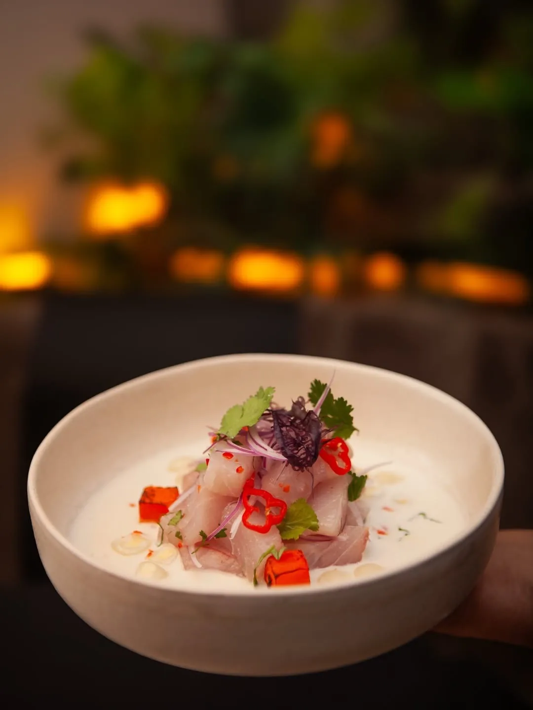 A white bowl of ceviche with red chilli and herbs held in front of blurred warm lights