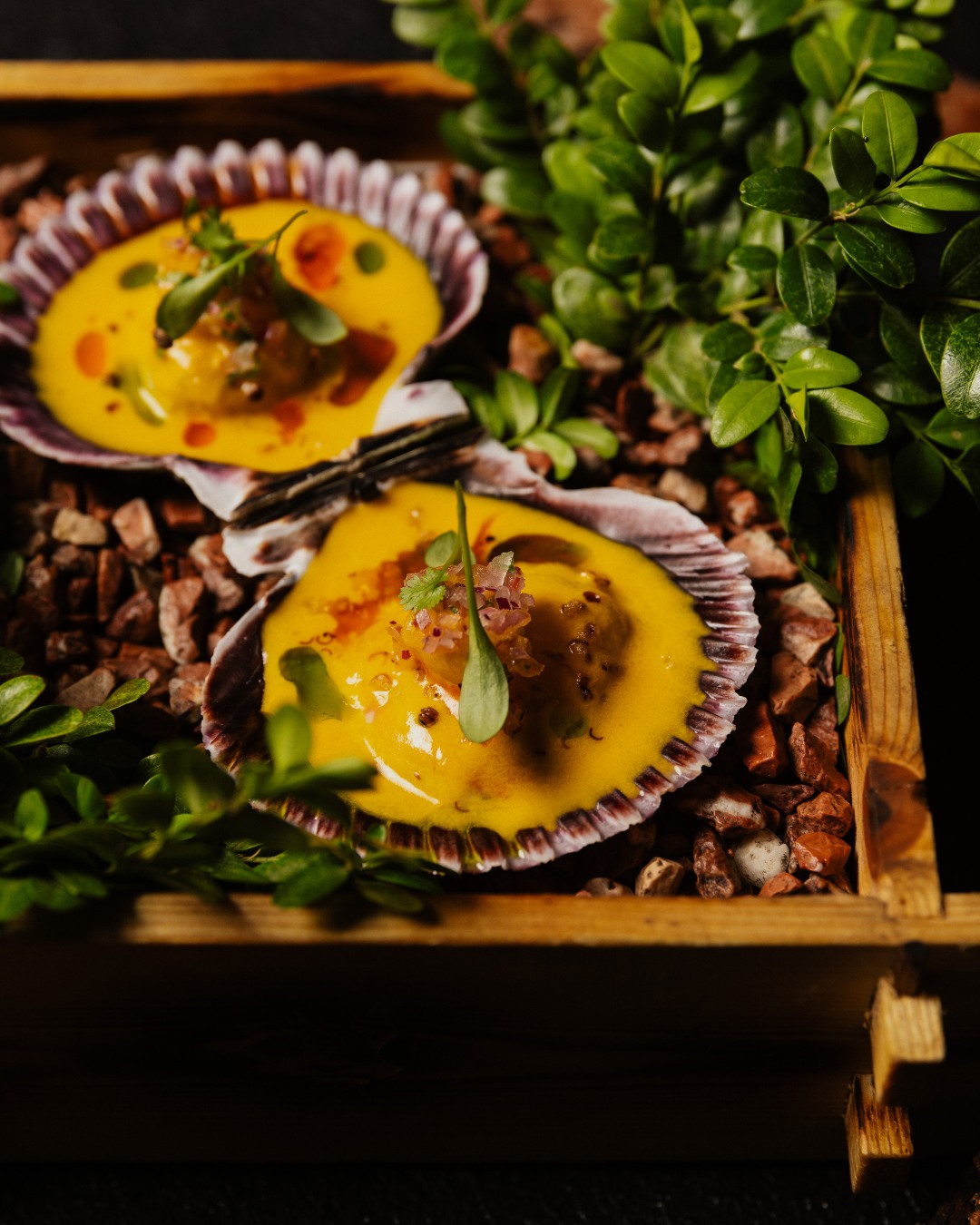 La clásica zamburiña en versión Mítiko. La leche de tigre ají amarillo y la mantequilla de miso realzan el sabor marino 