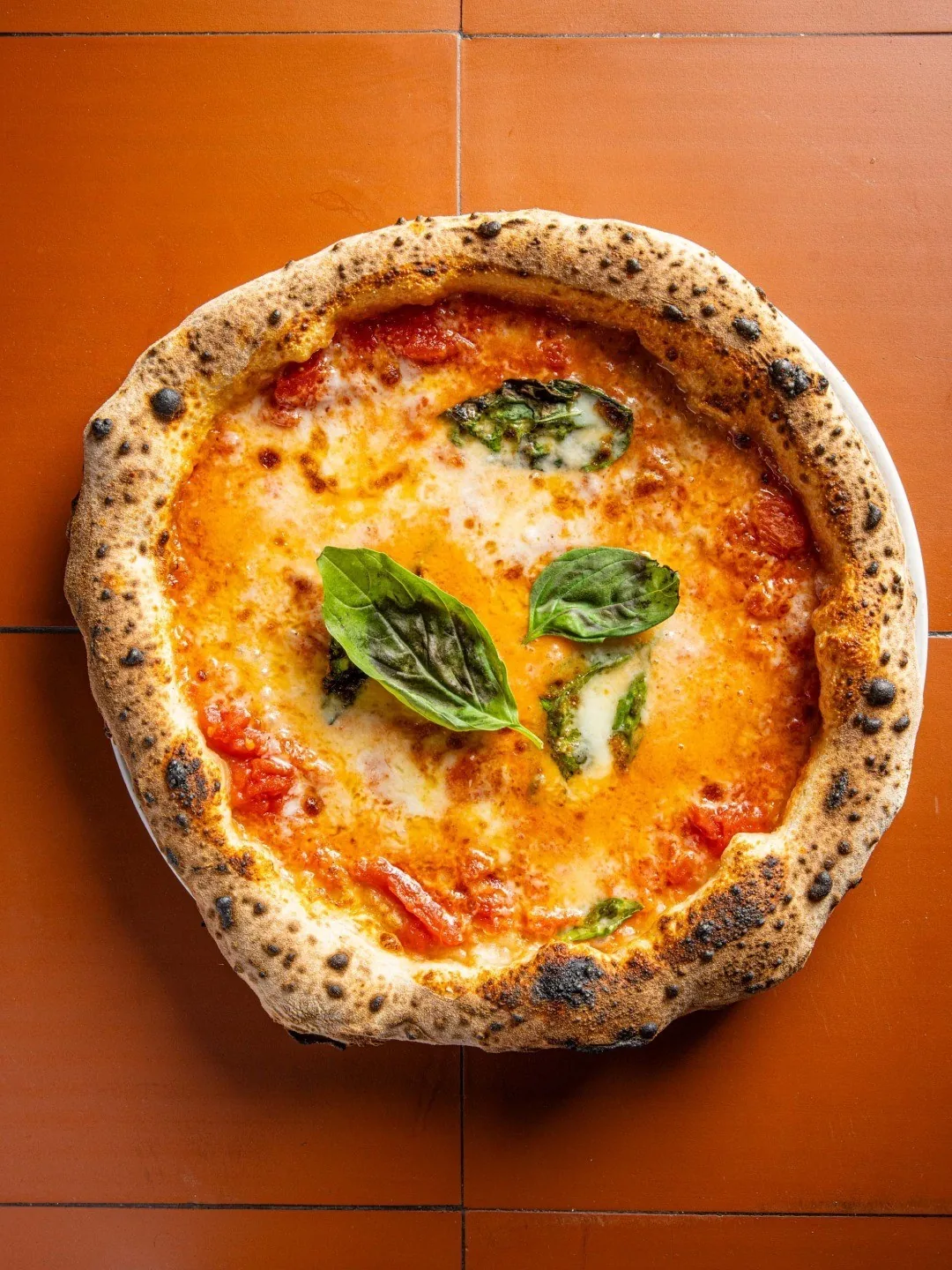 A margherita pizza with basil leaves seen from above on an orange surface