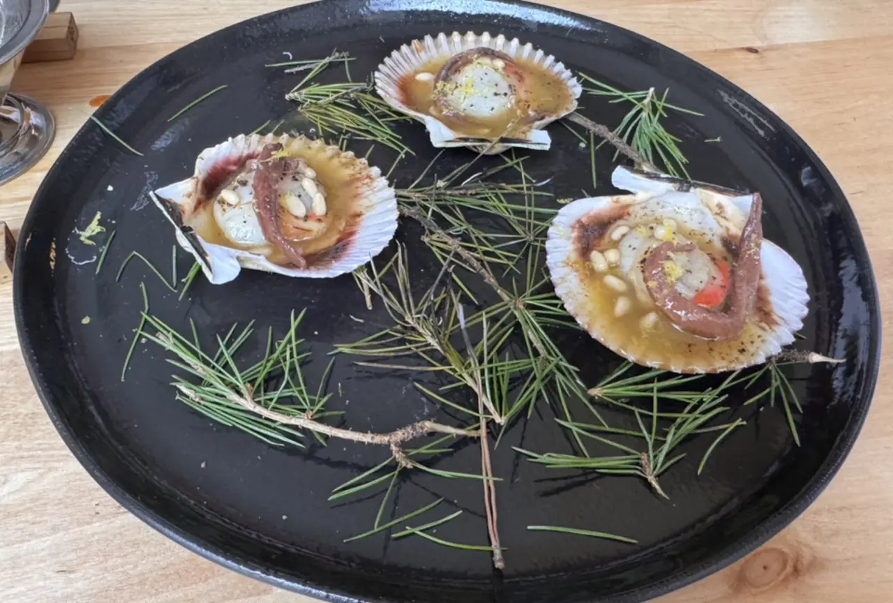 Three scallops on the half shell with pine nuts, on a black plate with pine sprigs