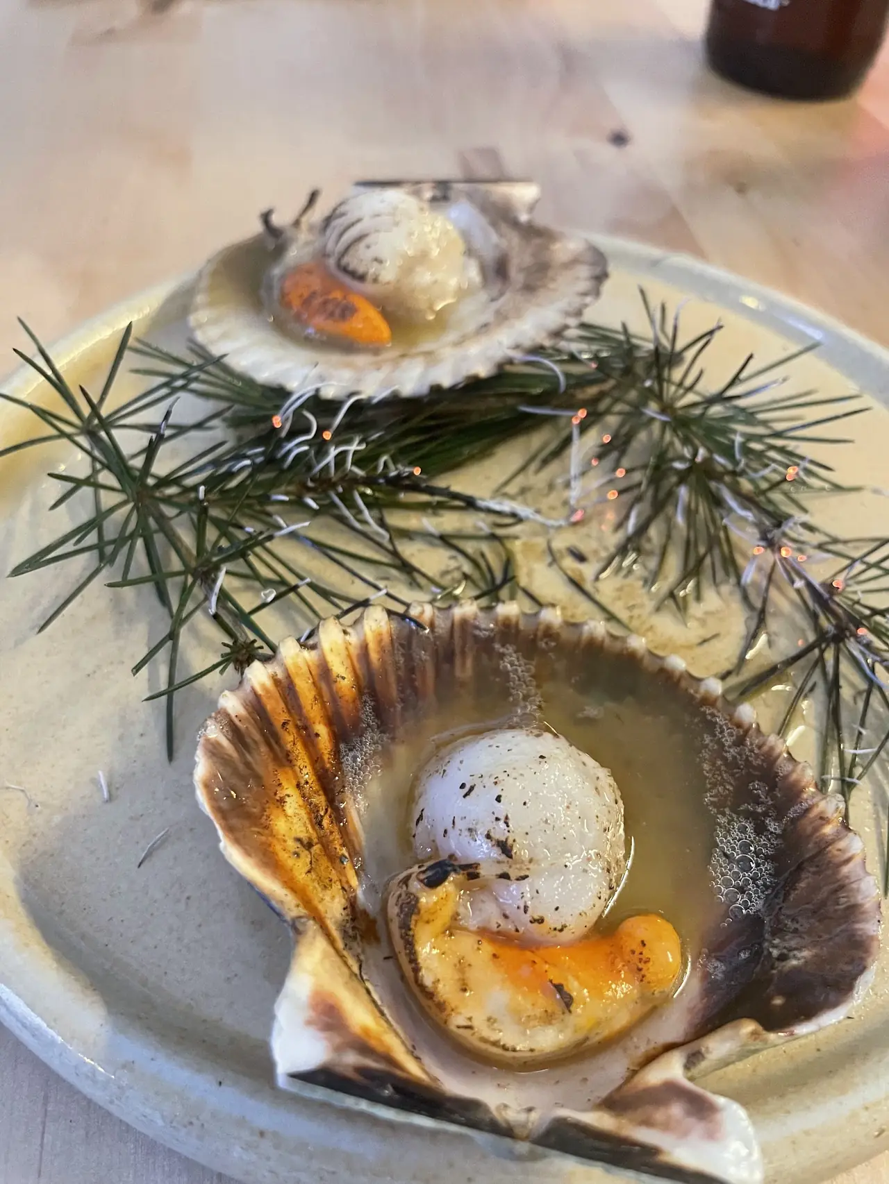 Two scallops on the half shell with broth, plated with pine sprigs