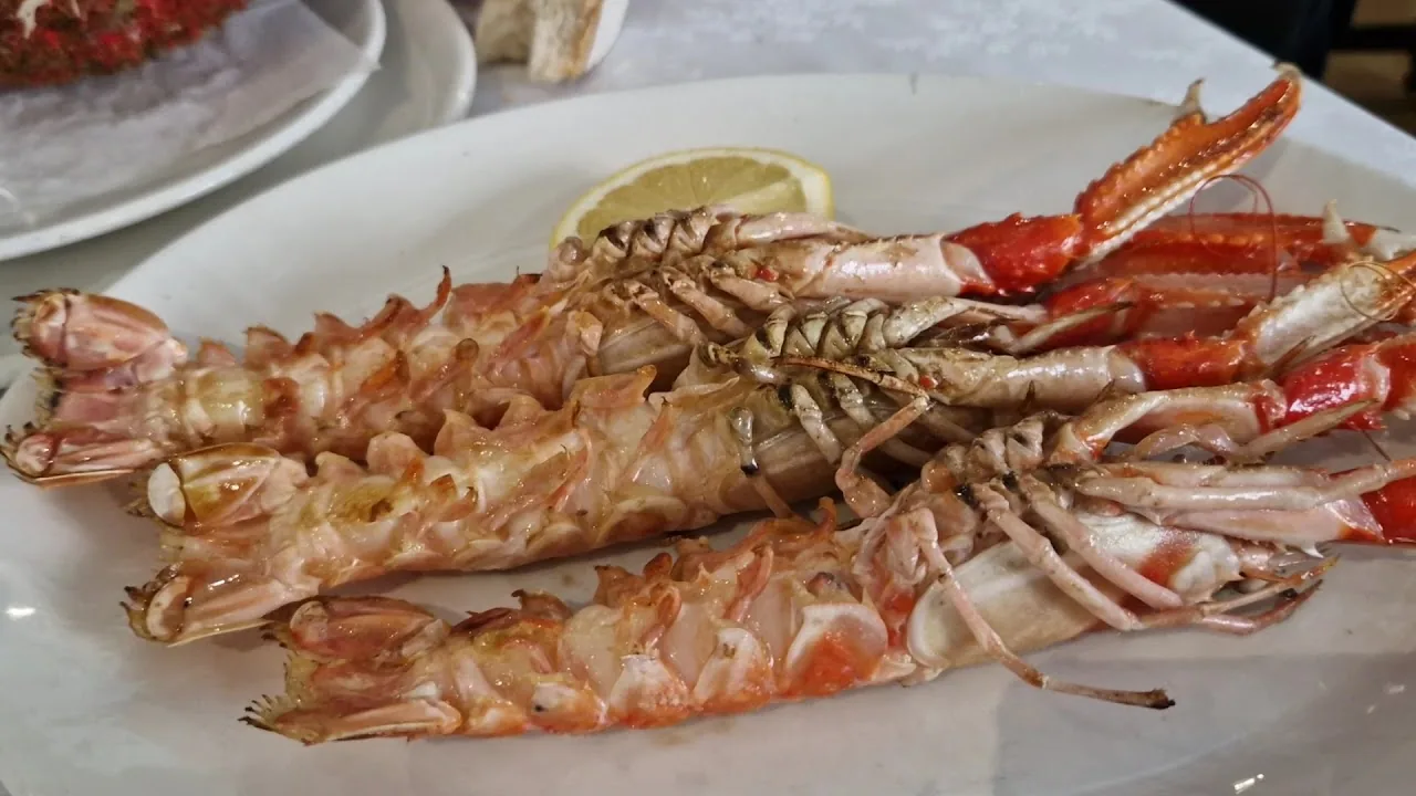 Large grilled langoustines on a plate