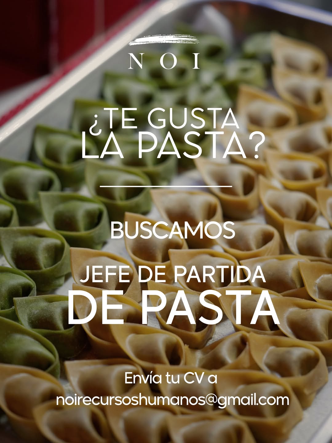 En NOI estamos ampliando equipo y buscamos un Jefe de Partida especializado en pasta. 

Si te interesa envía tu CV a noi