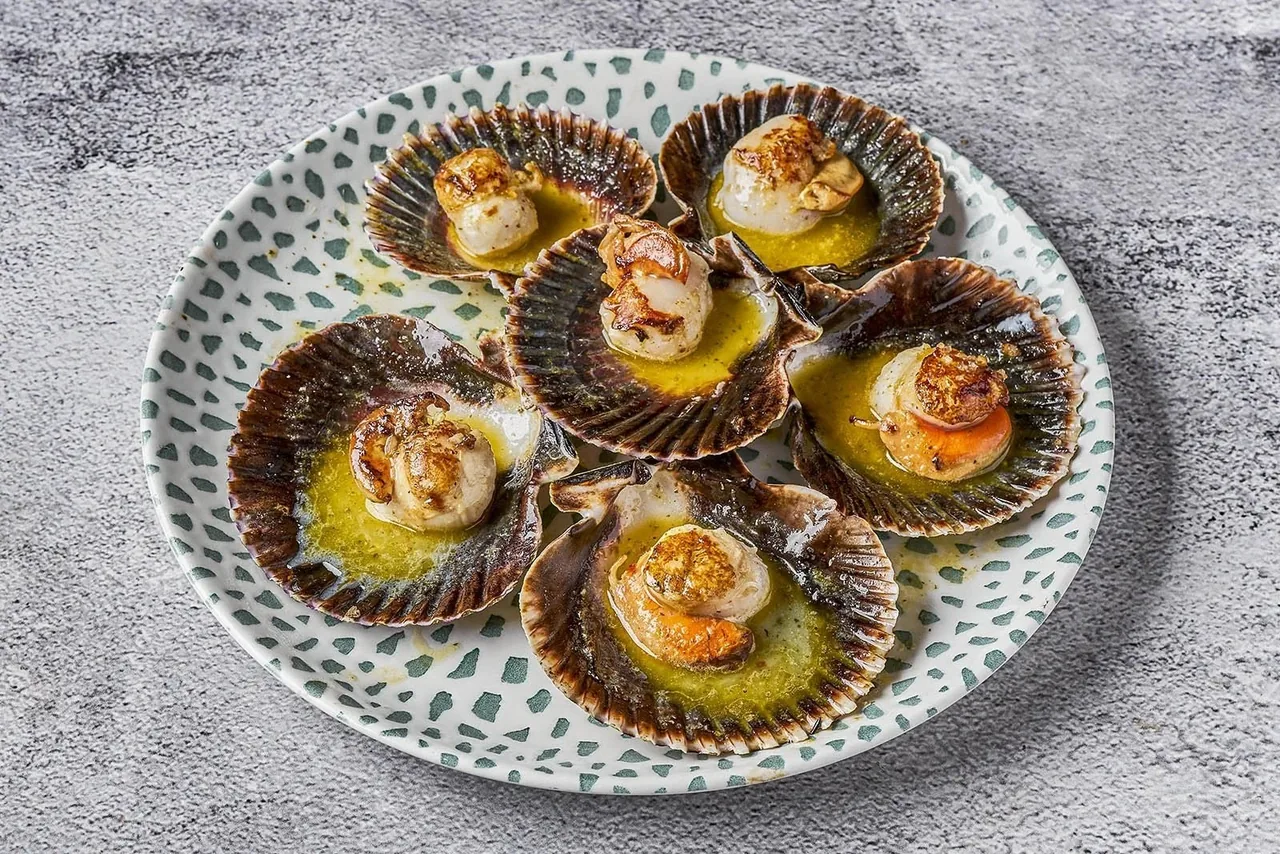 Scallops in their shells on a spotted plate