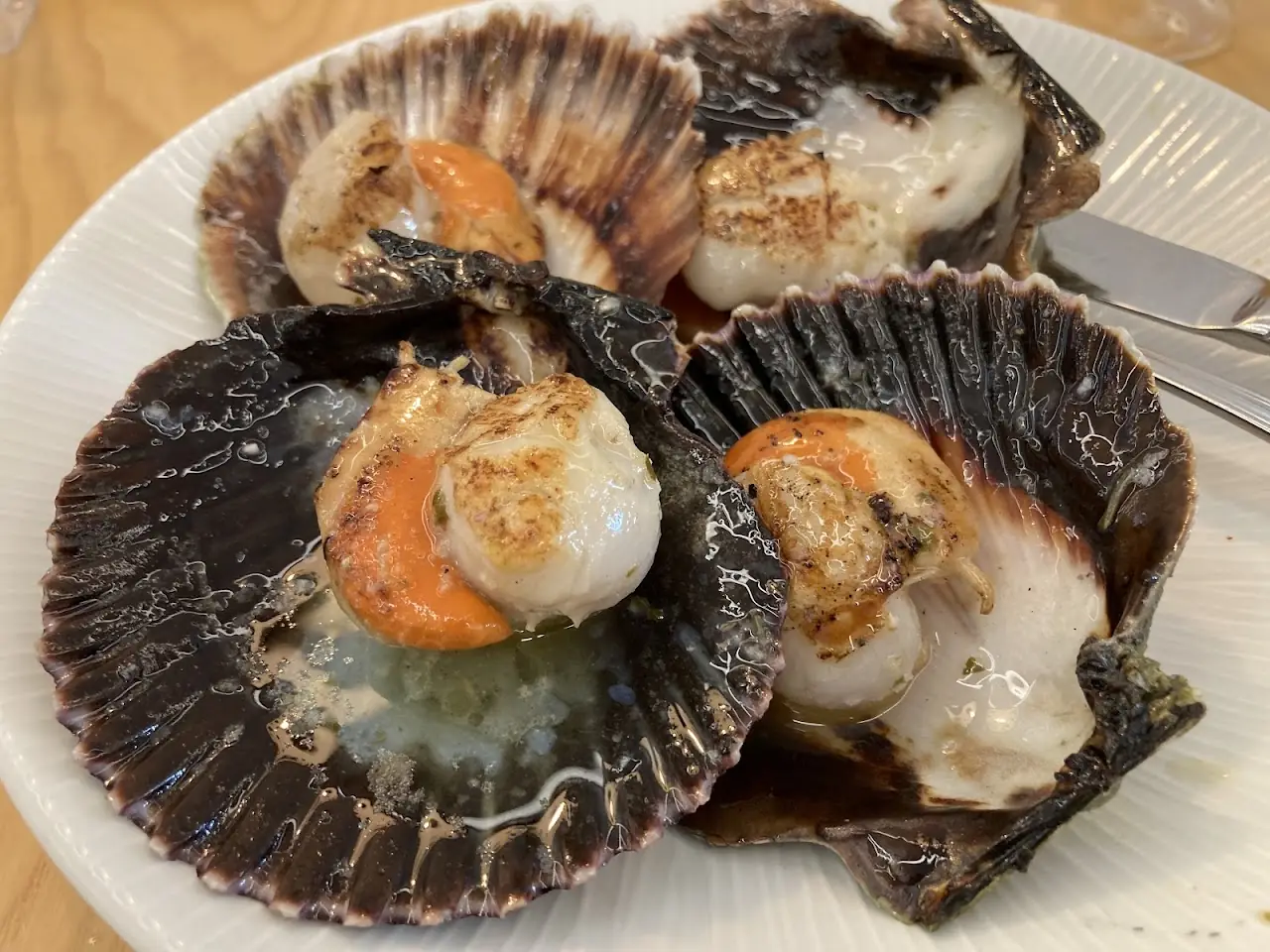 Four grilled scallops served on the half shell with their coral attached.