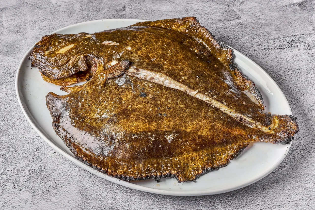 A whole cooked flatfish on an oval white plate