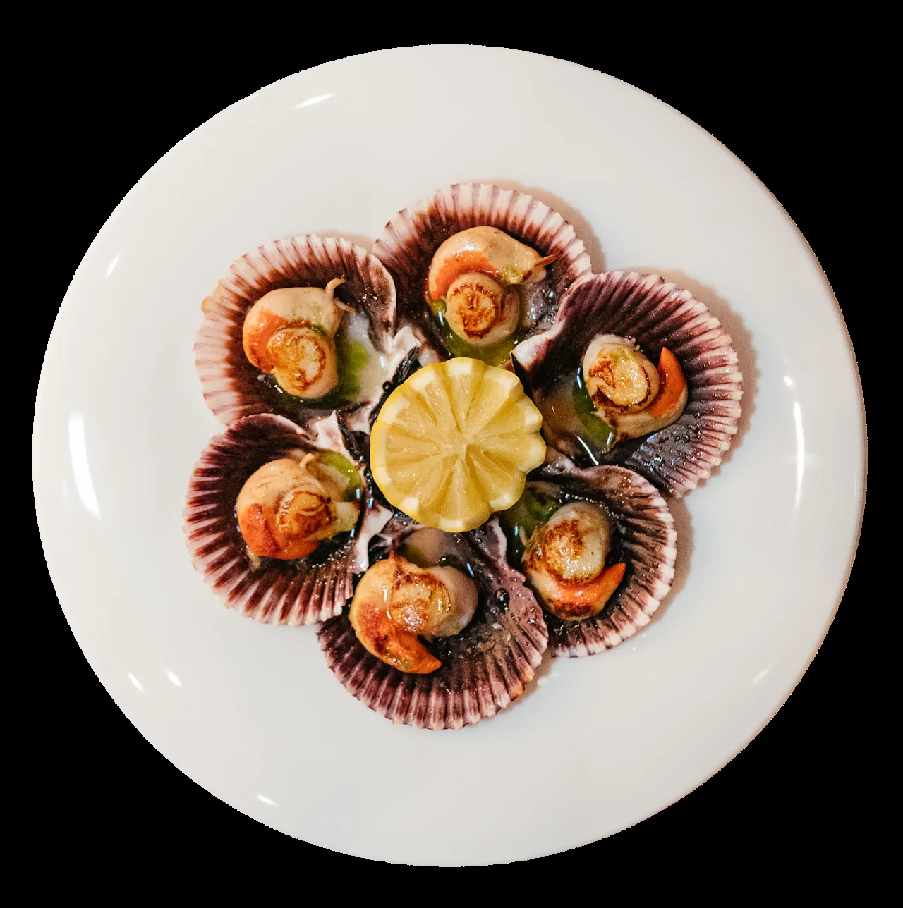 Scallops served on the half shell arranged around a lemon