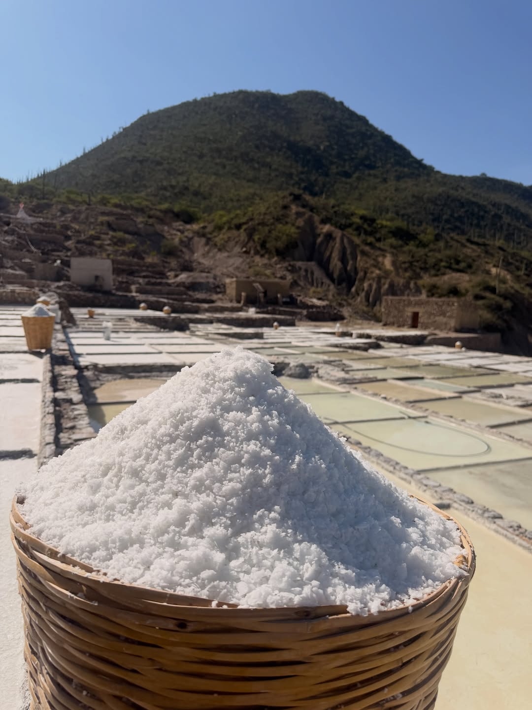 La sal.

Uno de los ingredientes más antiguos y esenciales de nuestra historia.

Hace poco tuve la oportunidad de visita