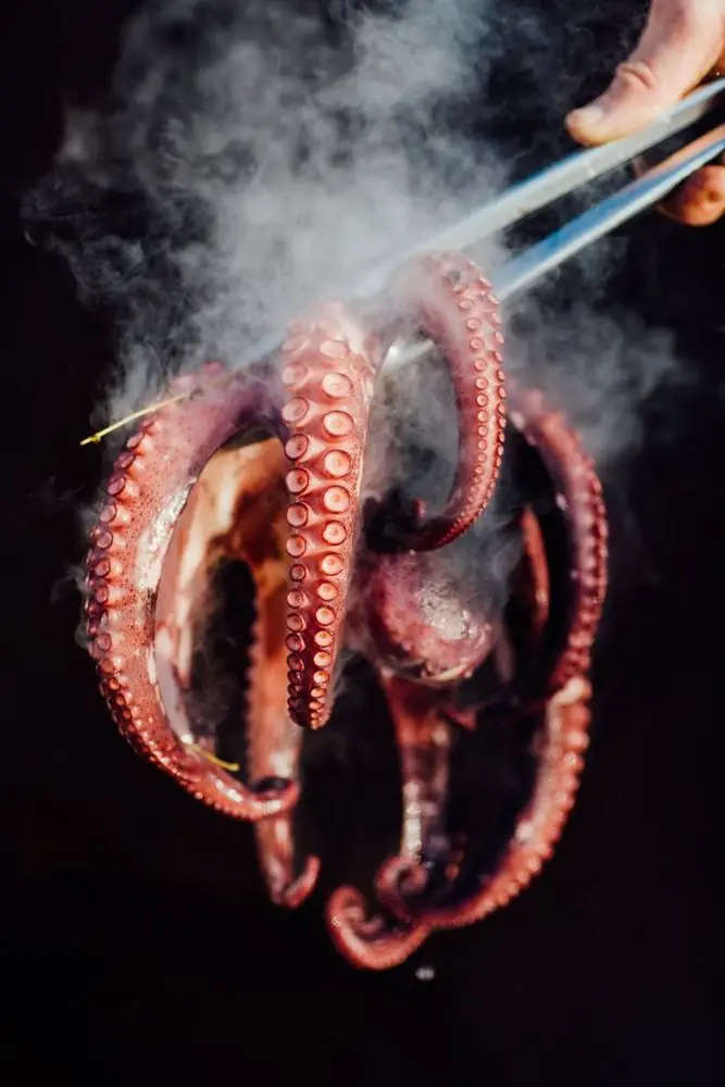 Steamed octopus tentacles lifted with tongs, still smoking, at O'Peregrino - Gastromar
