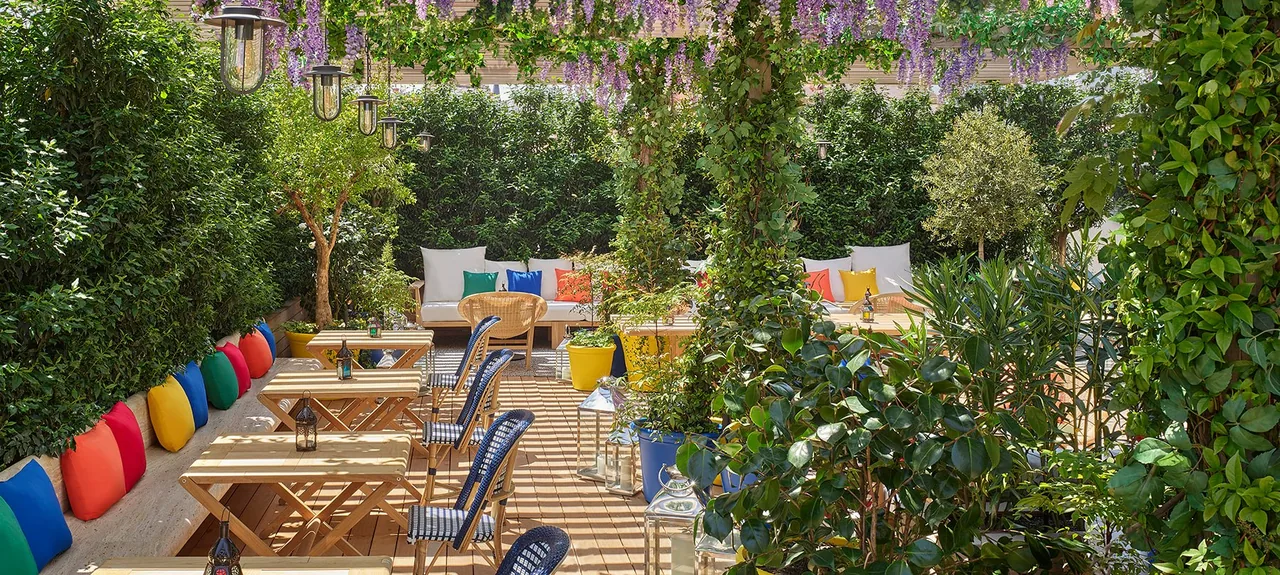 Planted terrace in daylight with wisteria trailing from a wooden pergola, wooden tables and benches lined with red, blue, green and yellow cushions