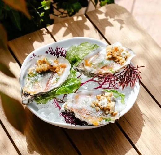 Three opened oysters on crushed ice with green granita, red sea greens and a chopped dressing, on a white plate on a sunlit wooden table