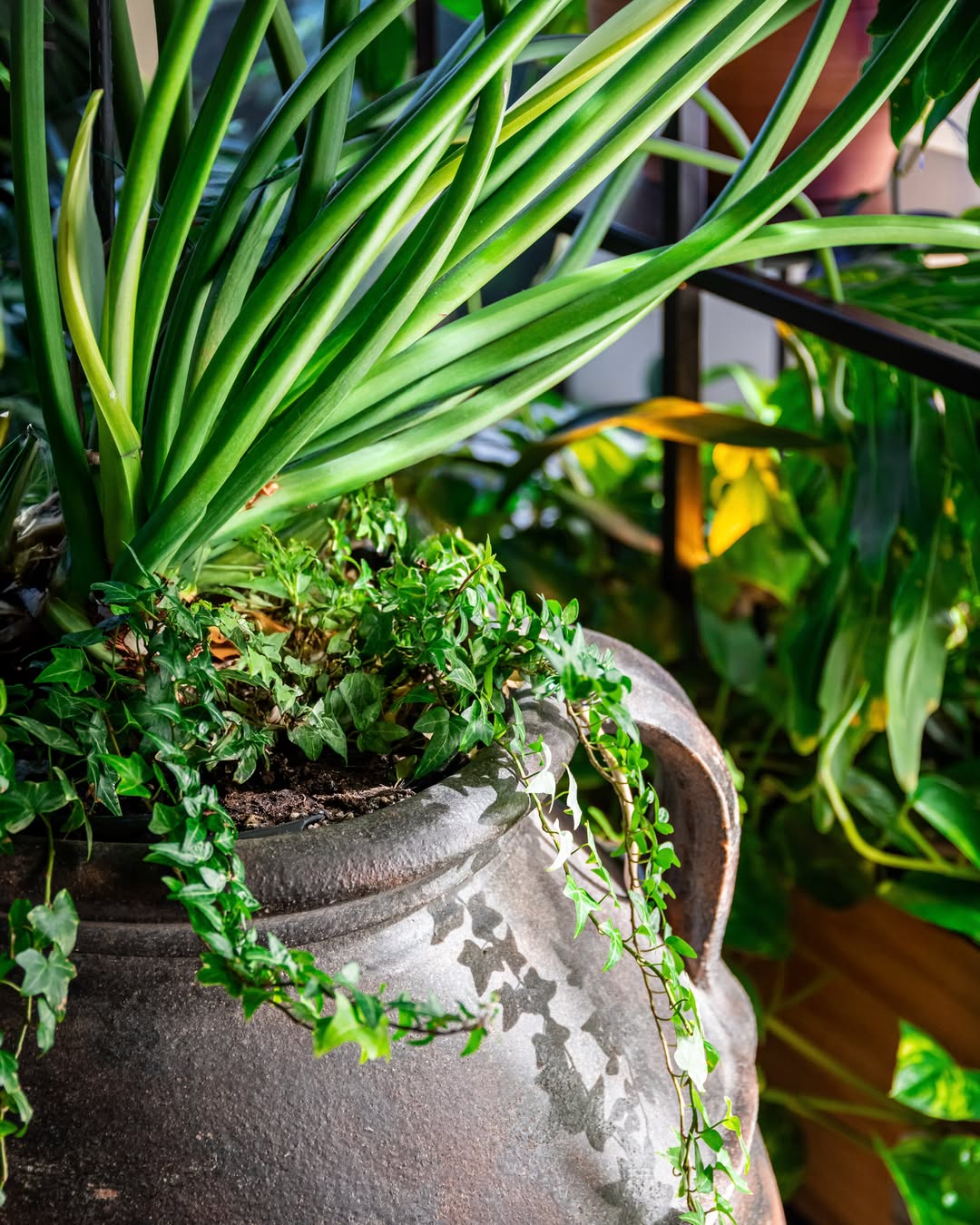Este verano, escápate a #OroyaMadrid. Un auténtico oasis sobre la ciudad donde los colores vivos, la vegetación natural