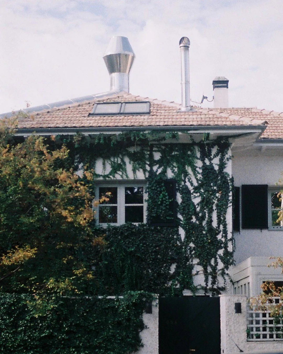 A white house covered in ivy with a tiled roof and small windows