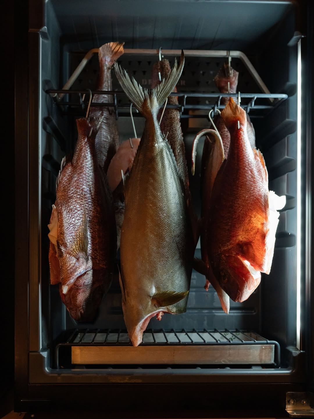Donde el tiempo se convierte en sabor. ⏳🐟

Detrás de cada bocado en Otoro hay un proceso meticuloso que empieza aquí, en