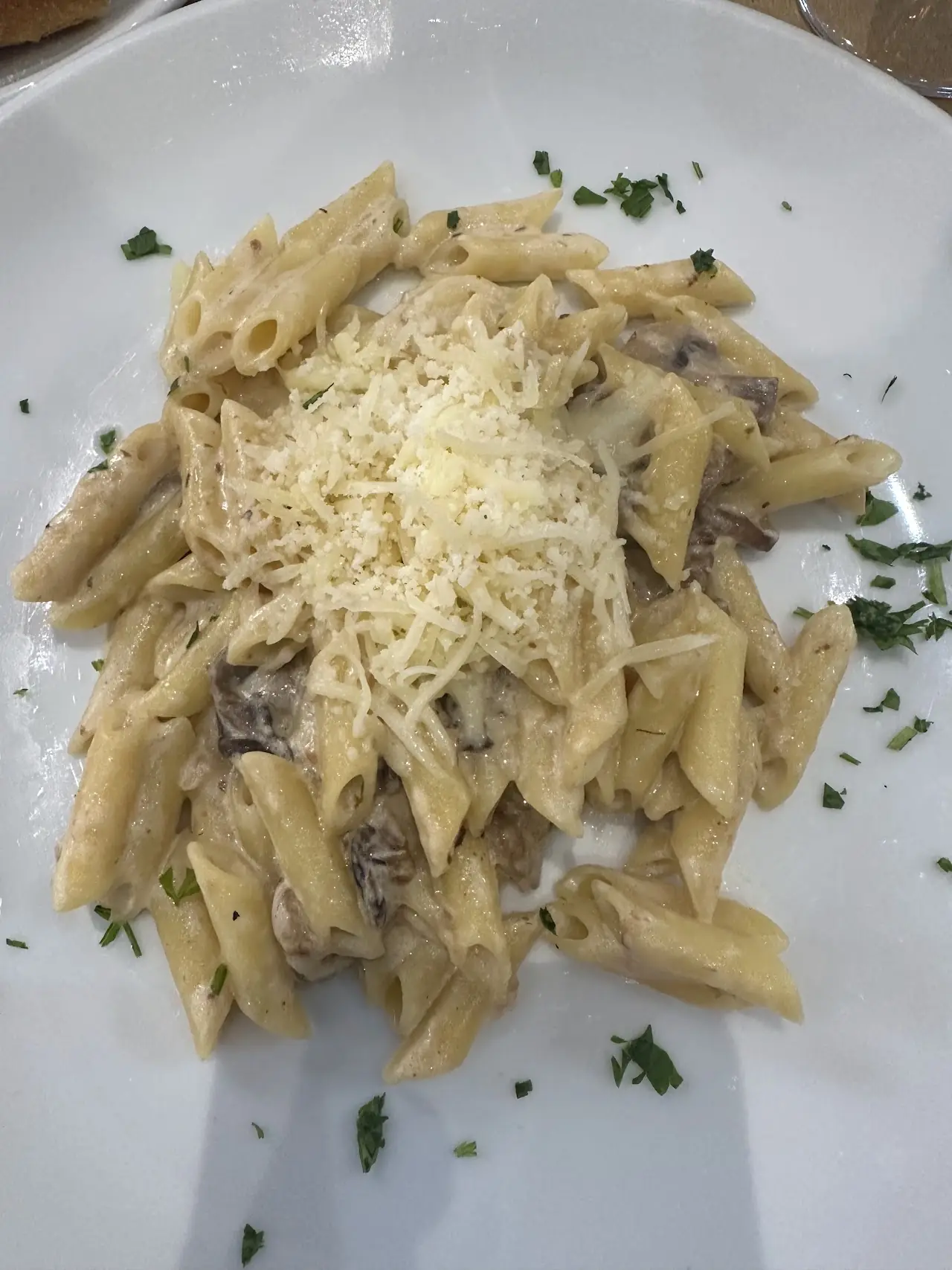 Plate of penne pasta in a creamy mushroom sauce topped with grated cheese and herbs, at Ovo.