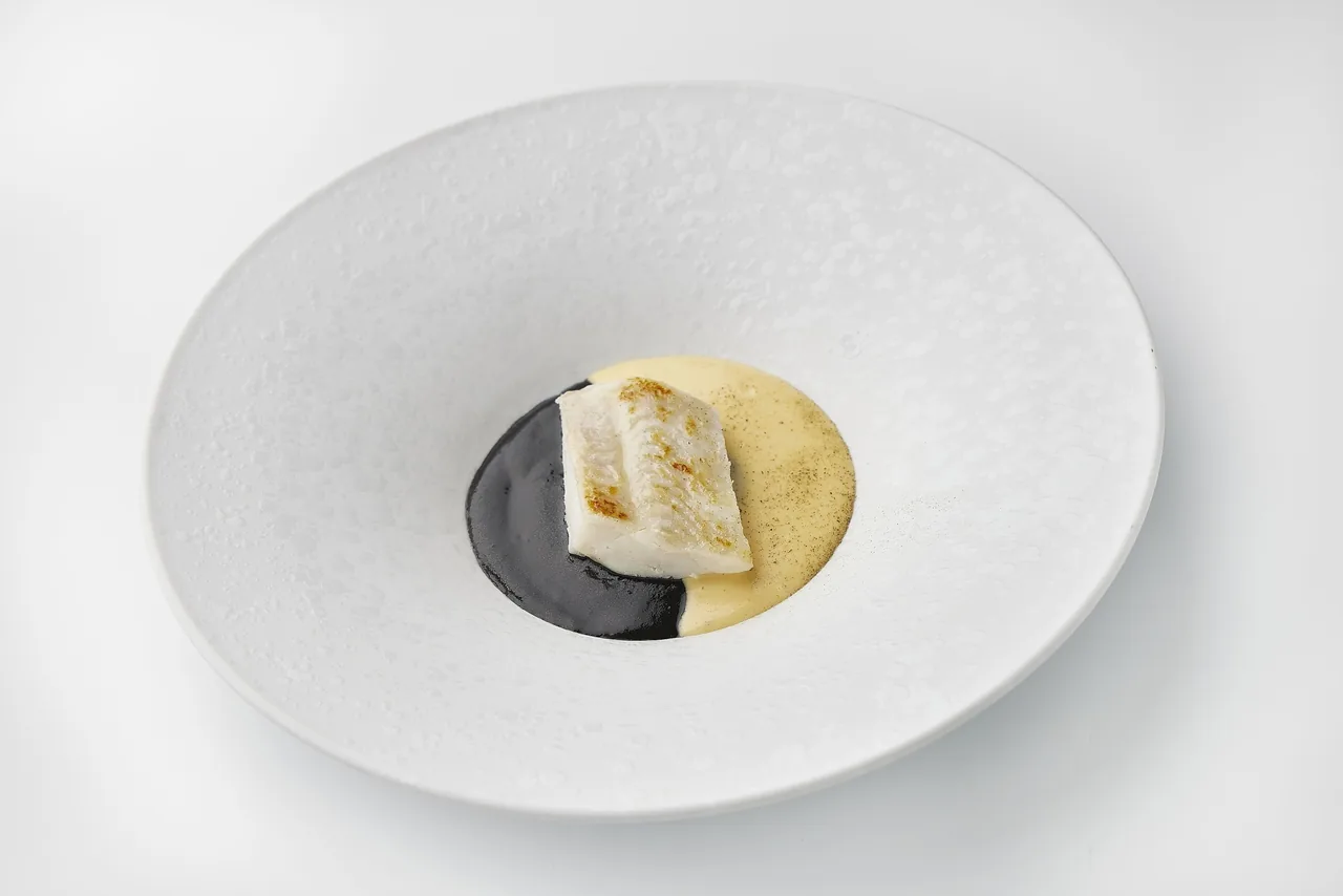 A white bowl with a folded piece of fish and two sauces, one dark and one pale