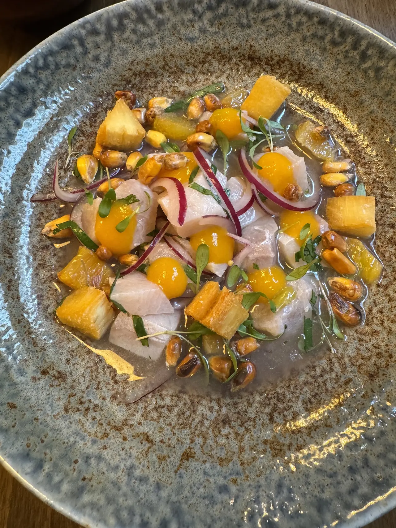 Ceviche with cancha corn, fried yucca, mango sauce dots and red onion