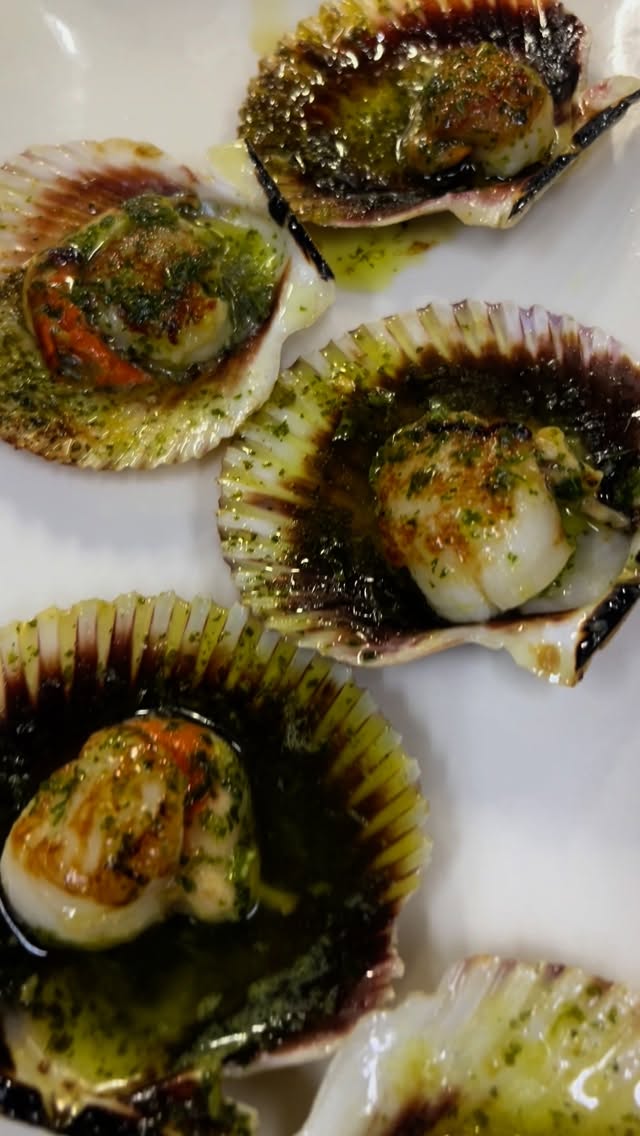 Las zamburiñas en Pazo Coruña llegan a la mesa burbujeantes, aún hirviendo en su concha, soltando un aroma a mar que con