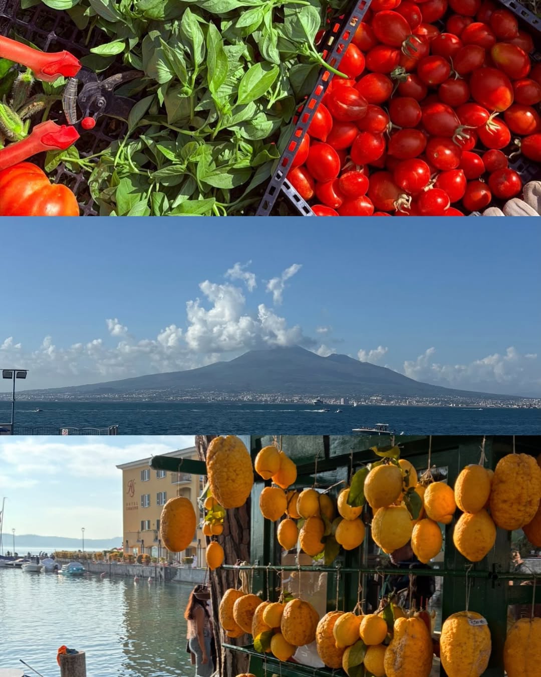 Piccola Napoli está de vuelta! 🇮🇹 
Volvemos a abrir mañana nuestros locales.
Os esperamos en C/Palencia 29, C/ Cristóbal