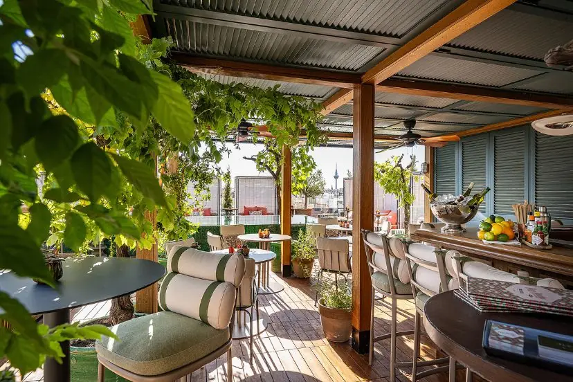 Rooftop terrace with vine-covered pergola, lounge seating, and bar counter
