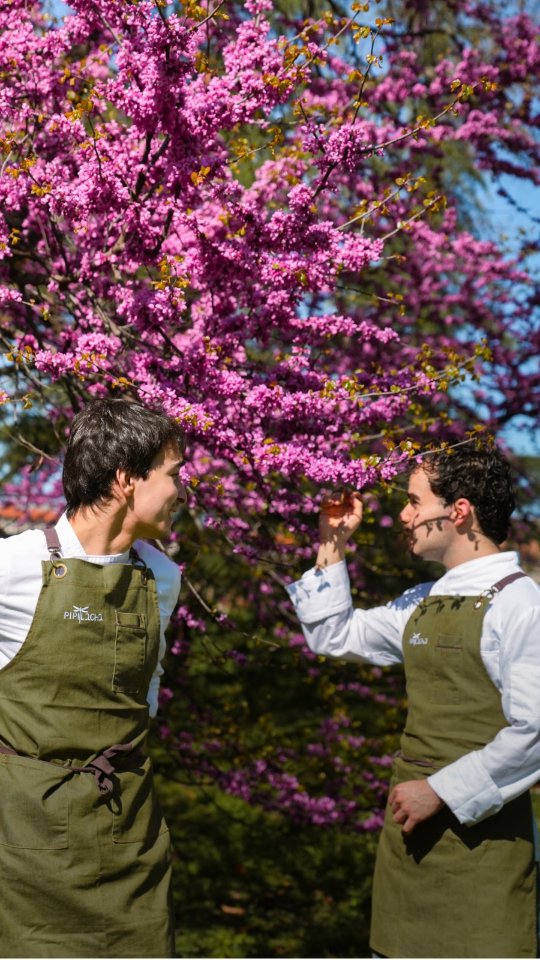 ¿Cómo surgió Pipilacha? 🌸
Arán Rodrigo @aranrg_ & Noé David @noedaavid, os lo cuentan en primera personal.
🌸 Horario: J