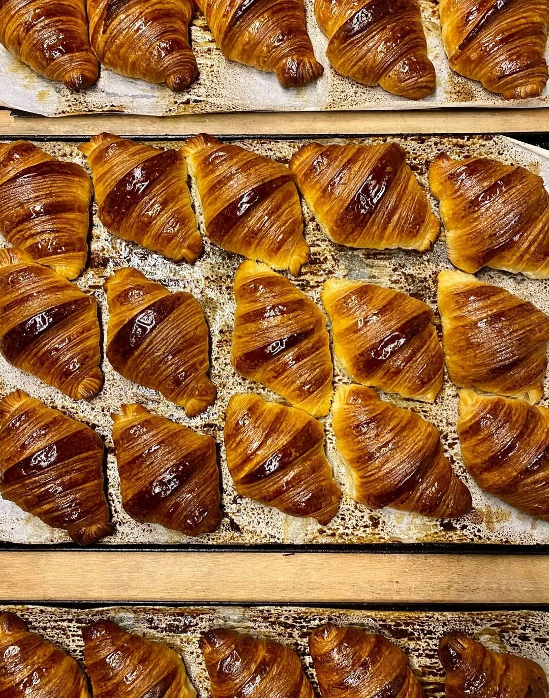 Rows of freshly baked croissants on a tray