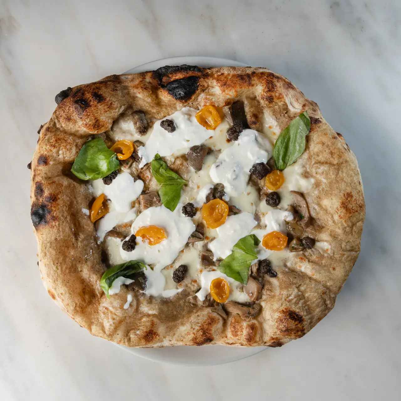 Wood-fired pizza with burrata, wild mushrooms, cherry tomatoes, capers, and basil on a charred crust at Punta