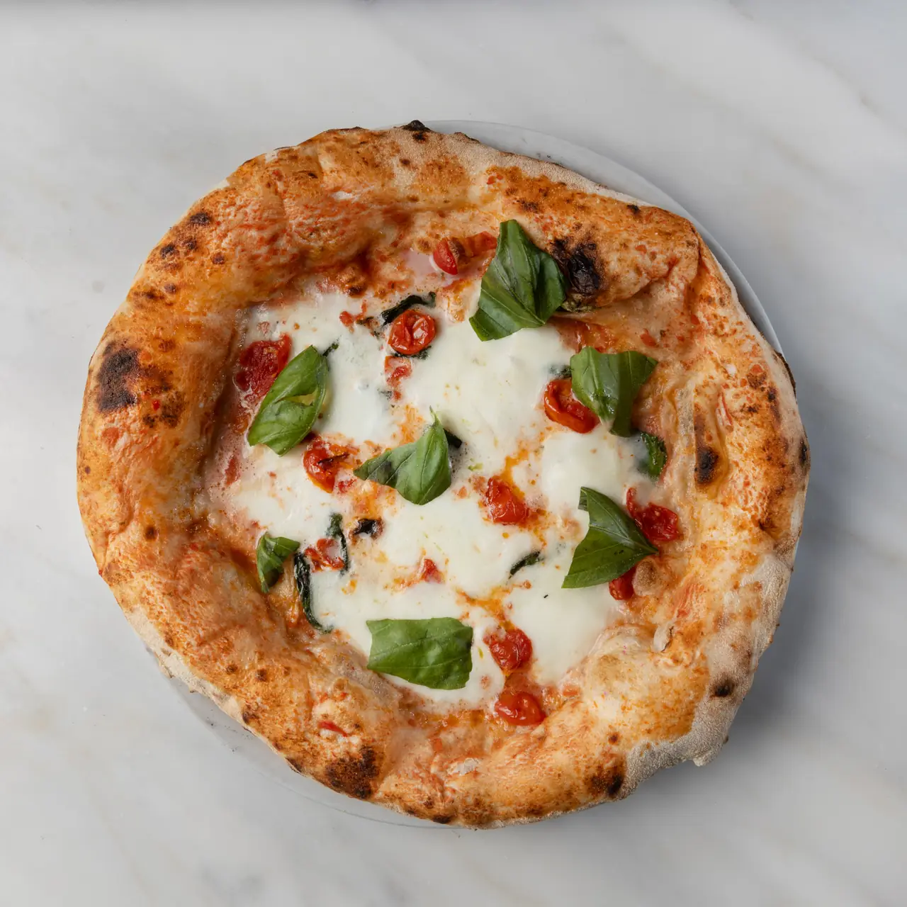 Classic margherita-style wood-fired pizza with melted mozzarella, cherry tomatoes, and fresh basil at Punta
