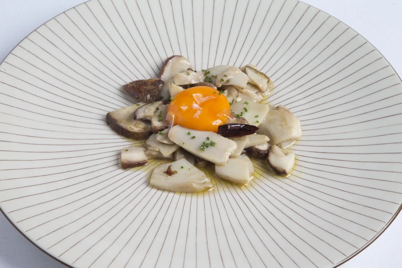 A white plate with brown lines holding sliced mushrooms and a raw egg yolk