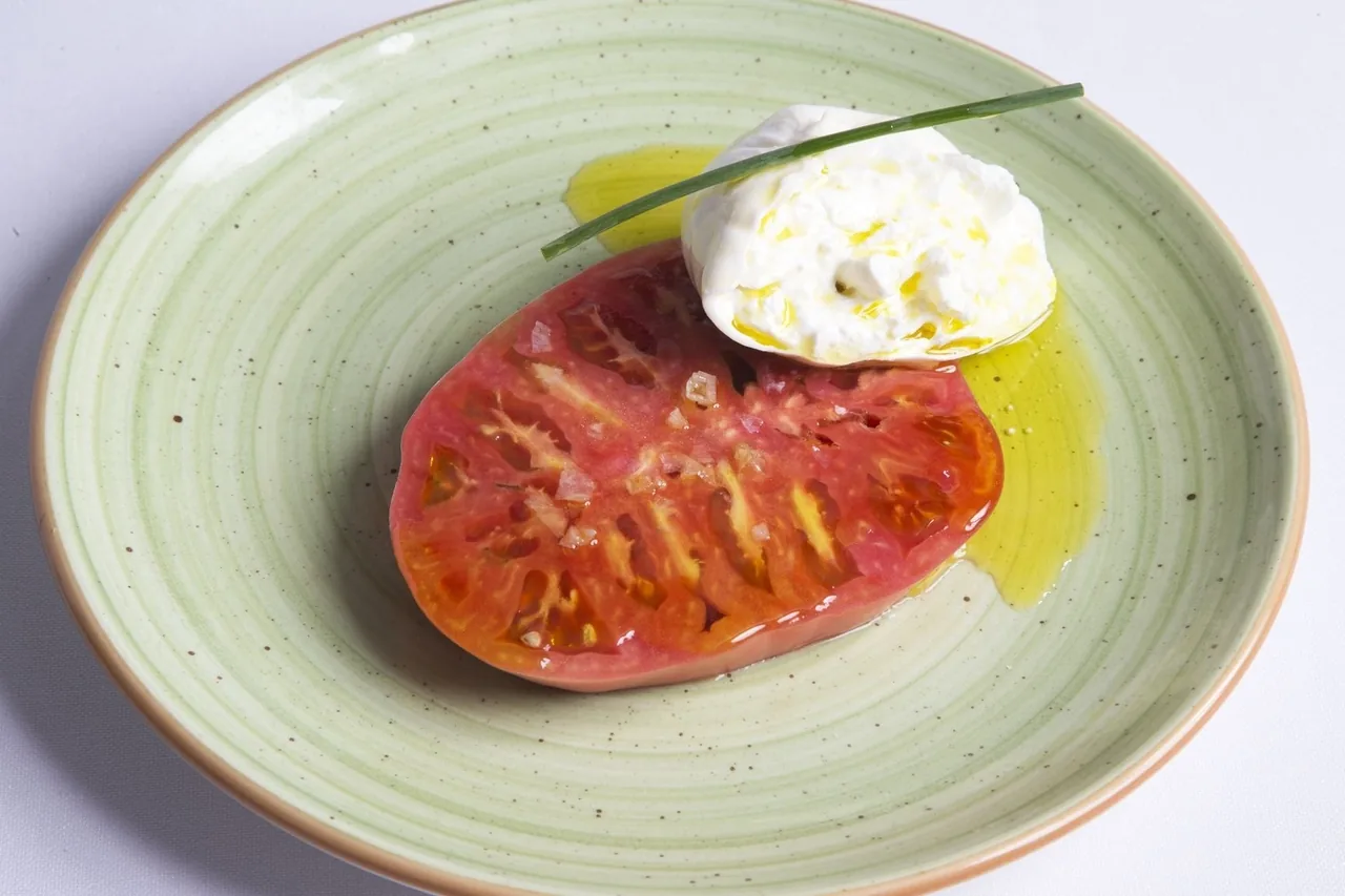 A slice of tomato topped with a white cheese on a pale green plate