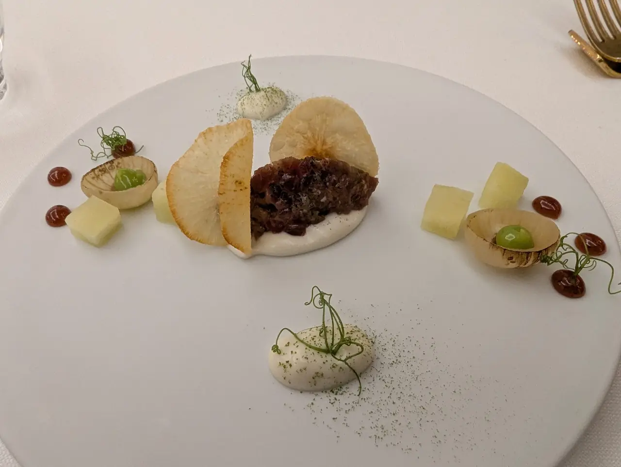 Plated tartare with crisps, cream dollops, fruit cubes and dots of sauce arranged on white plate