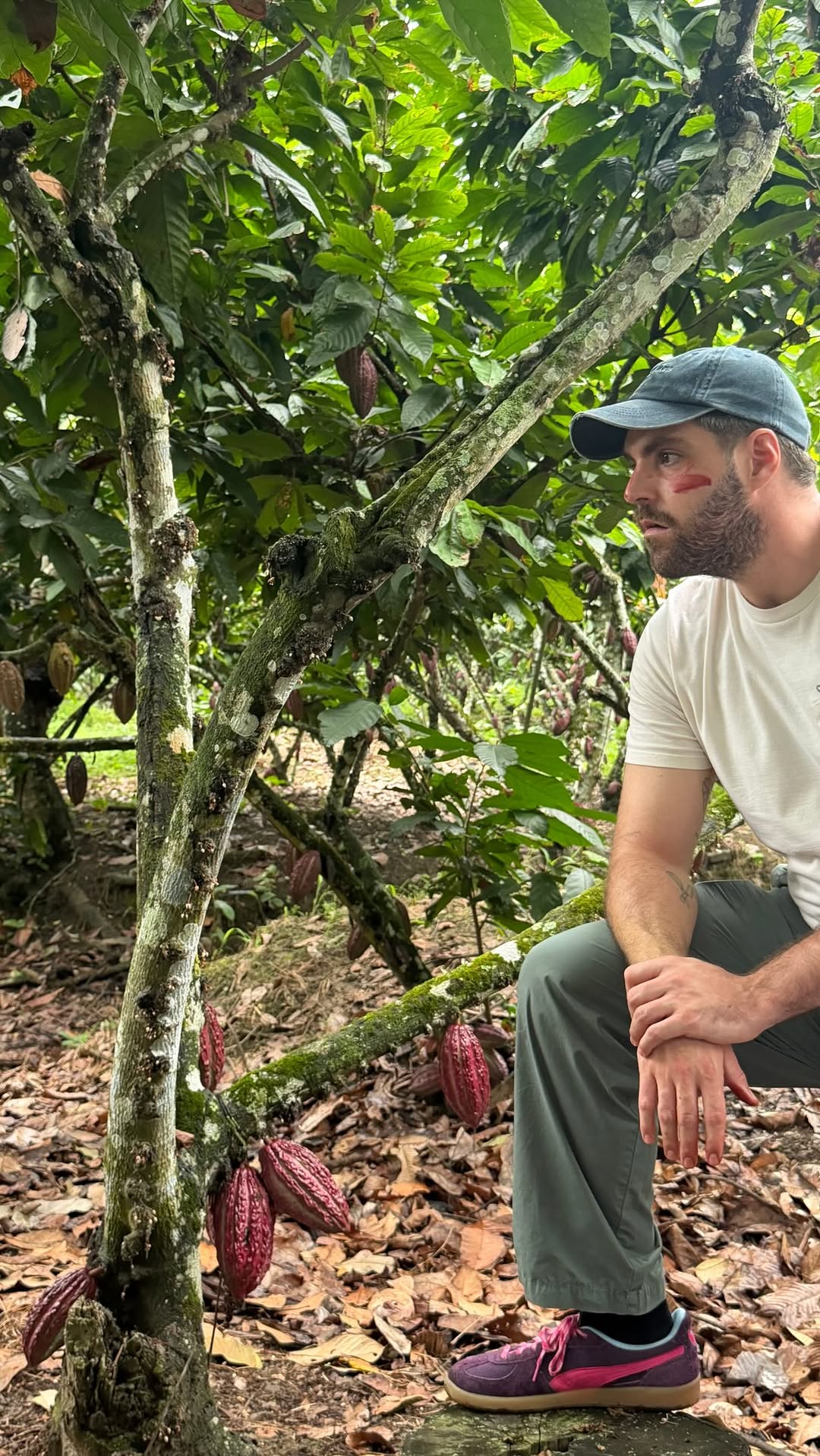 Vacaciones del 9 al 25 de agosto. O lo que es lo mismo: meterse en una plantación de cacao a hacer chocolate desde cero.