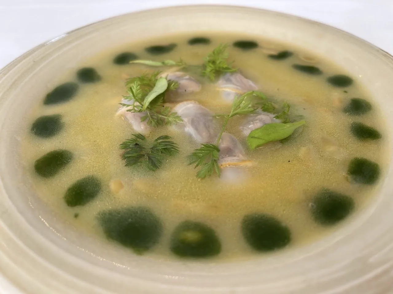 A wide shallow bowl of pale soup dotted with green dots and herbs