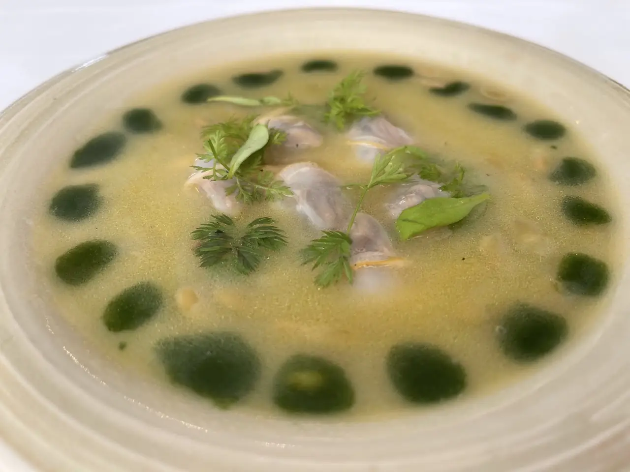A pale broth with herbs in a wide bowl with a green-dotted rim