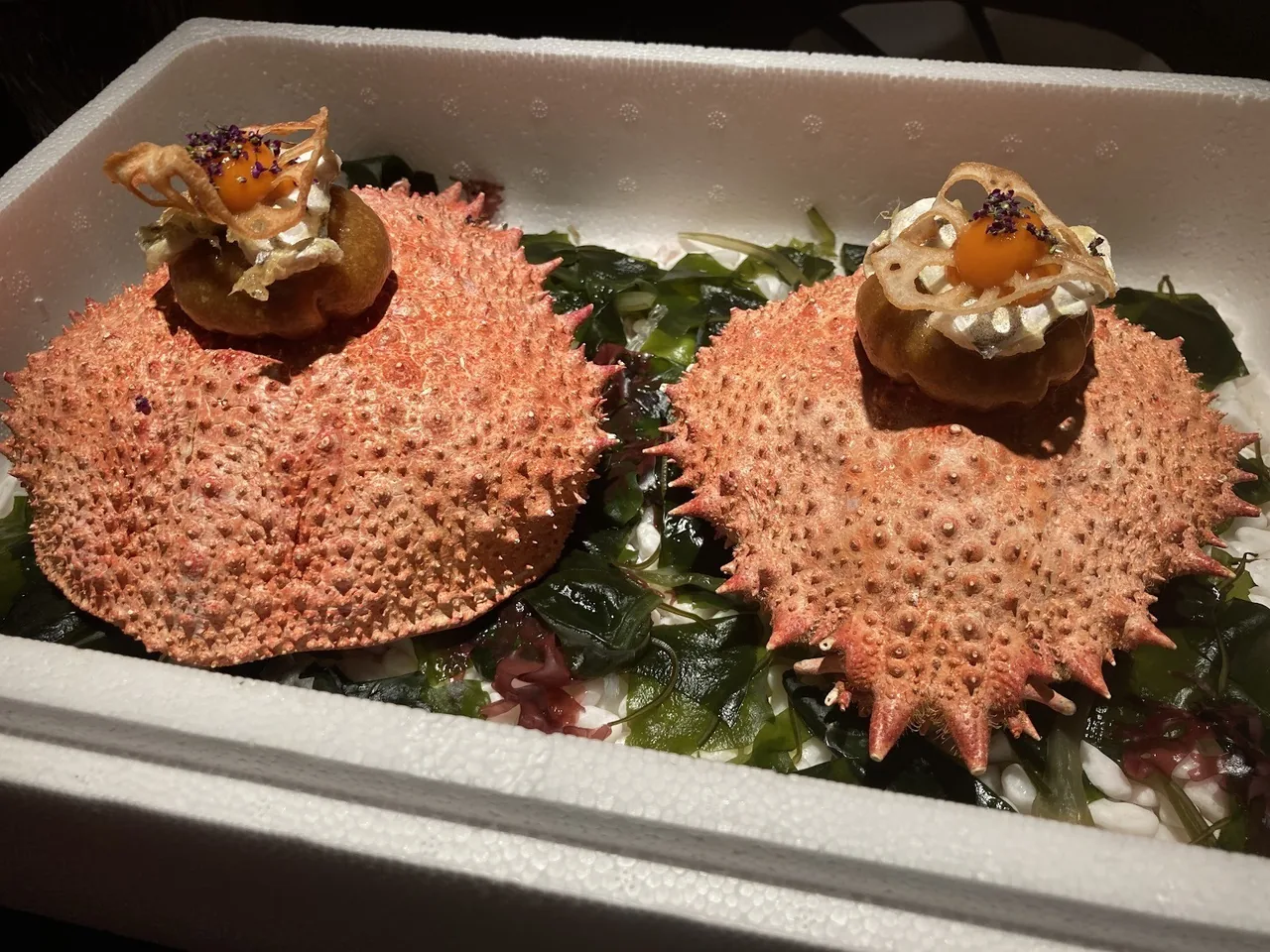 Two spiny crab shells with garnish on a bed of seaweed