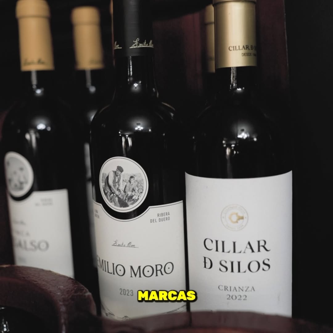 🍷 ¡Os toca ayudarnos!

Estamos pensando en incorporar nuevos vinos a nuestra carta y queremos saber vuestra opinión.

👉 